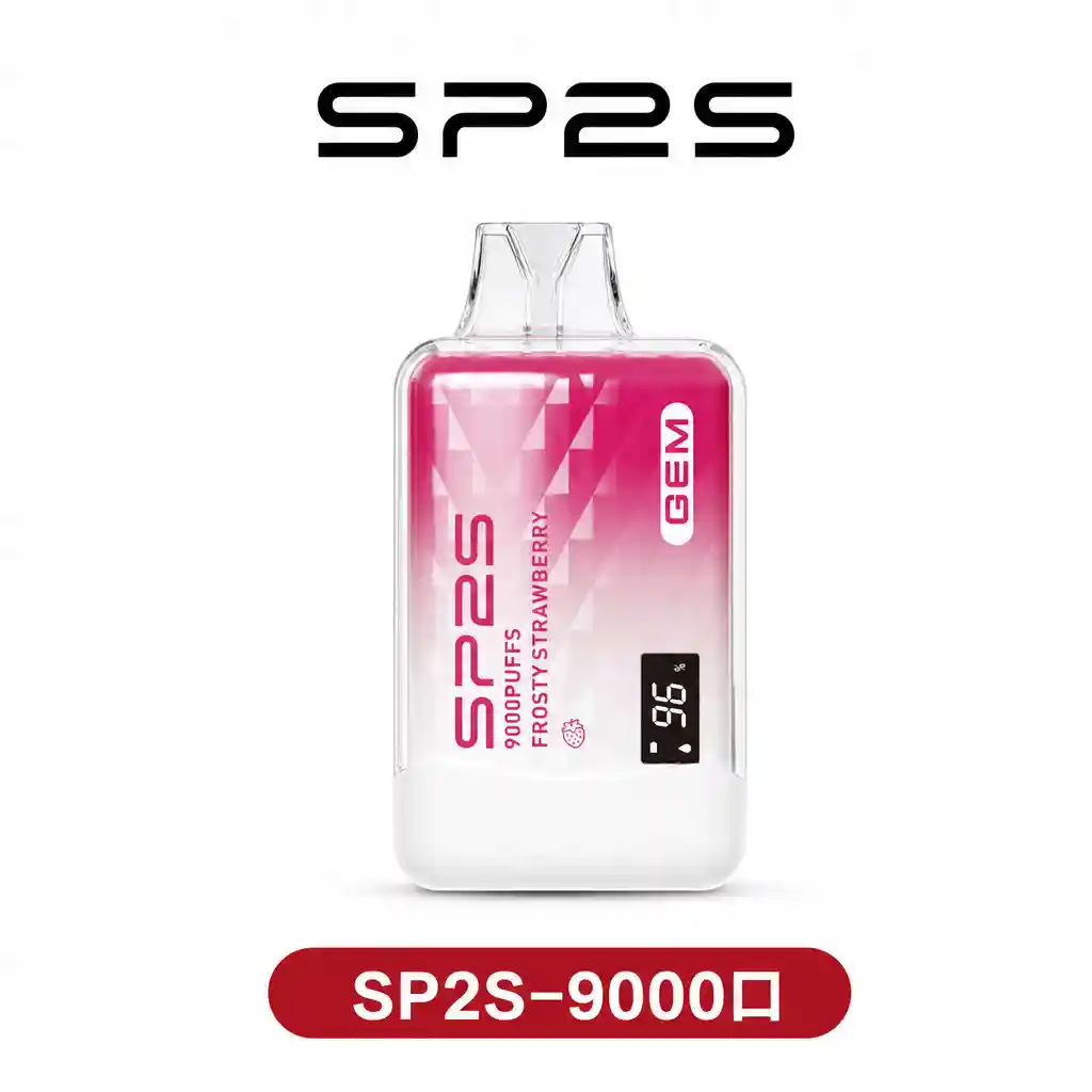 SP2S9000口一次性電子煙（可充電）