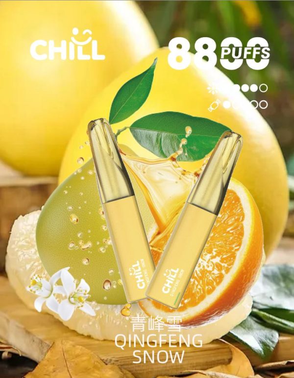 chill始祖鳥電子烟8800口