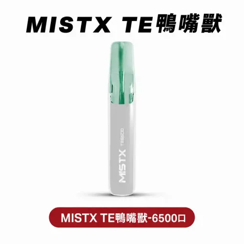 MISTX TE鴨嘴獸【拋棄式6500口】陶瓷芯升級 超長續航