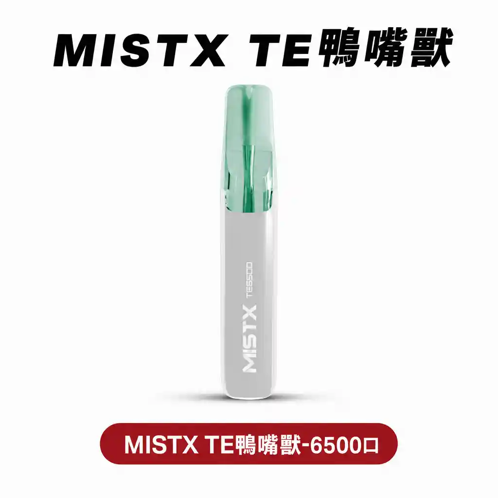 MISTX TE鴨嘴獸【拋棄式6500口】陶瓷芯升級 超長續航
