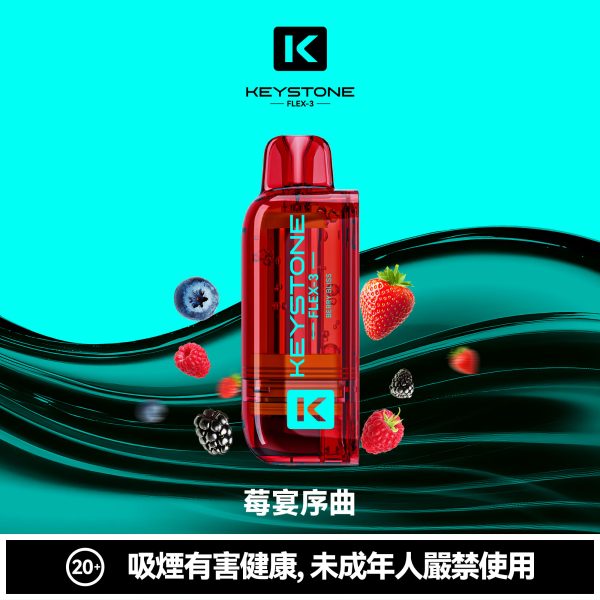 微信图片_2026-03-15_174259_038 鑰石 25000口 換彈式【買一顆蛋送一隻專用主機】【超大口數+可視油倉+1100毫安超大電池】