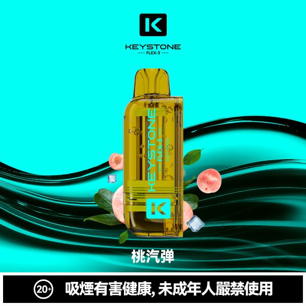 微信图片_2026-03-15_174313_126 鑰石 25000口 換彈式【買一顆蛋送一隻專用主機】【超大口數+可視油倉+1100毫安超大電池】